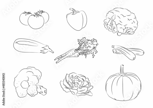 warzywa rysunek