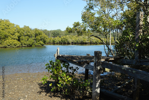 Old wooden jetty and mangroves beside the tidal creek at Lota, Queensland, Australia 