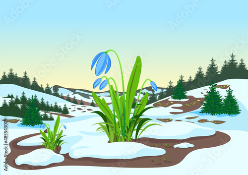 Spring landscape with forest, glades, melting snow and snowdrops. Beautiful spring background illustration. Vector