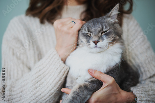 Beautiful fluffy gray cat pet with yellow eyes sitting in the arms of the owner woman photo