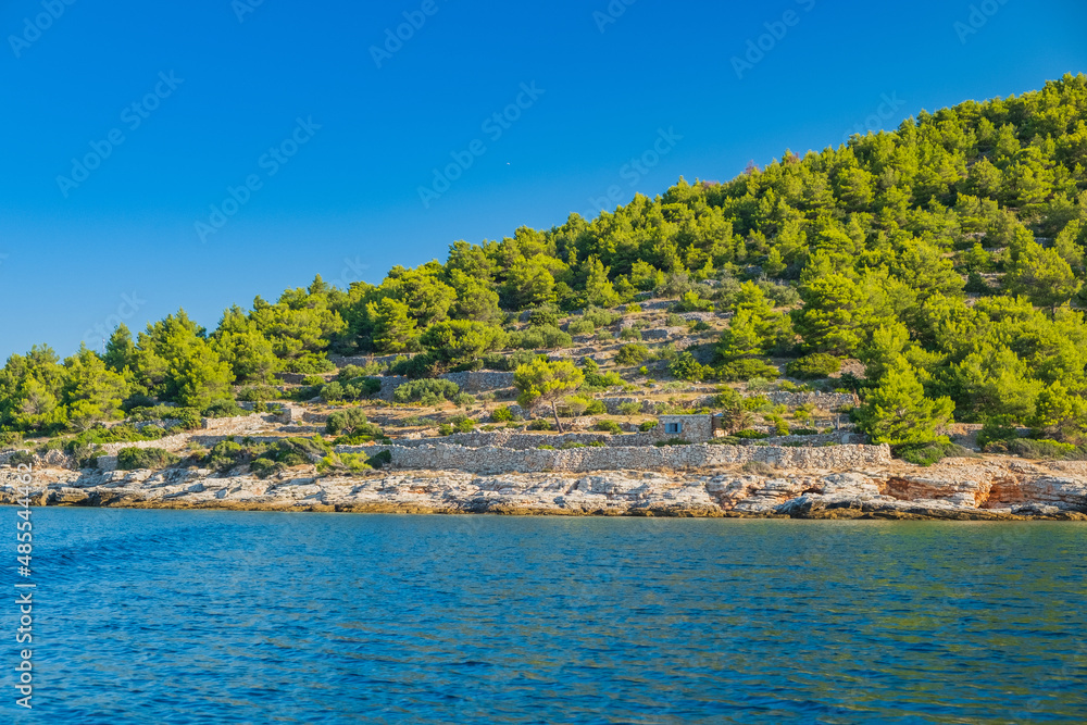 Lond coast and pine woods of Murter island in Dalmatia, Croatia