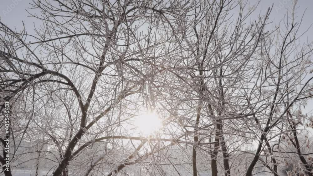 Snow covered city park in backlit Snow covered city park in backlit