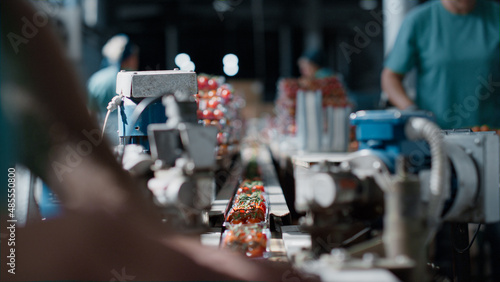 Konstfotografi Factory workers packing tomatoes technological horticultural warehouse closeup