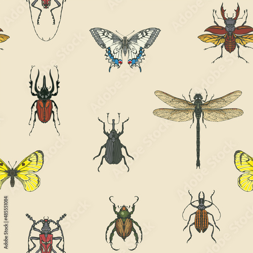 Hand-drawn seamless pattern with various insects. Colored vector background with butterflies, beetles, dragonfly on an old paper backdrop. Suitable for wallpaper, wrapping paper or fabric design