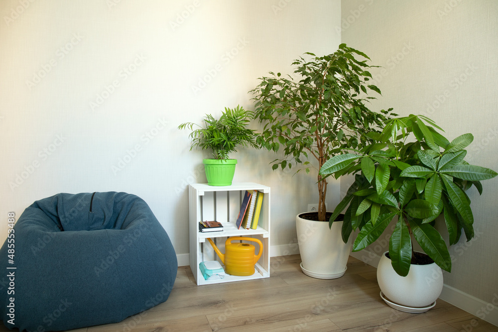 Interior fragment of home relaxing place with plant pots, a blue bag chair and white coffee table. Home lounge zone