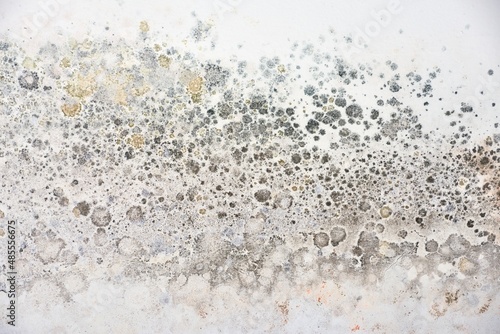 Close-up of damp, polluted, moldy walls in spring photo