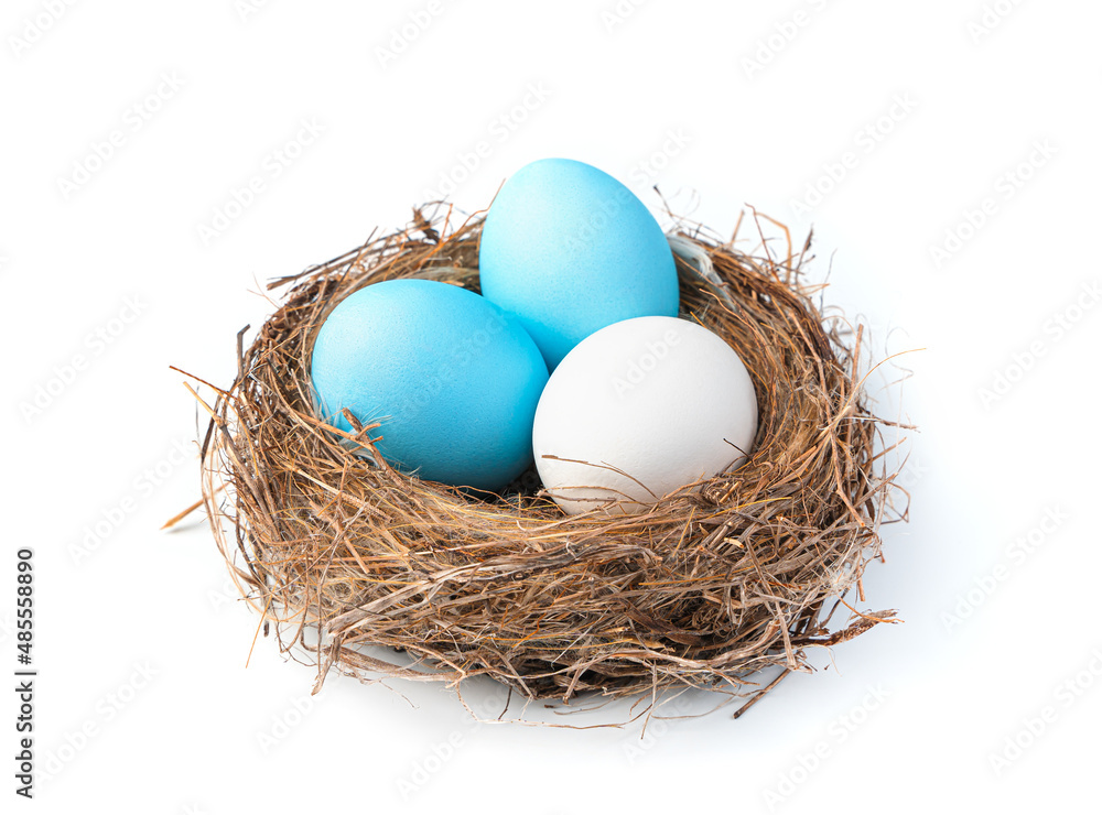 Easter eggs are blue and white in the nest isolated on a white background. Easter eggs are blue and white in the nest isolated on a white background.