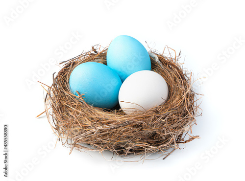 Easter eggs are blue and white in the nest isolated on a white background.