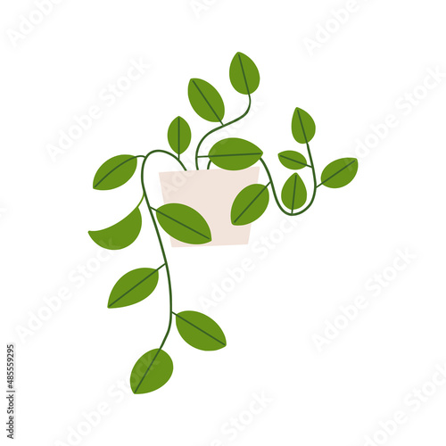 Abstract hanging houseplant in flowerpot. Flat hand drawn foliage hoya for modern office or home decor illustration. Cute green flower for urban jungle garden.