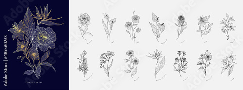 Fotografia Trendy flowers for logo or decorations