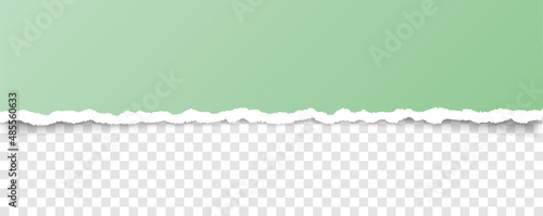 vector green colored torn paper banner with ripped edges with space for your text on transparent background