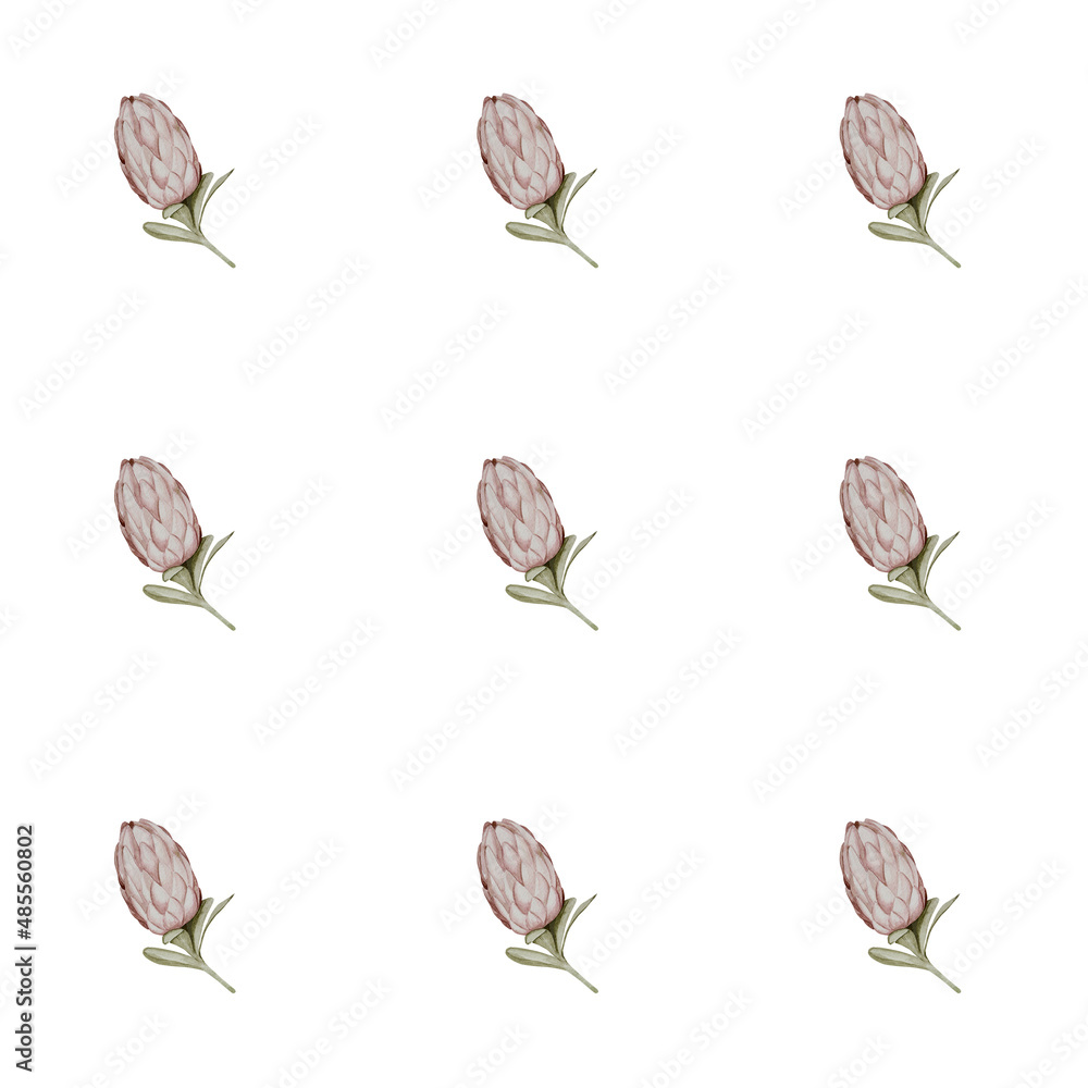 protea watercolor seamless pattern protea watercolor seamless pattern