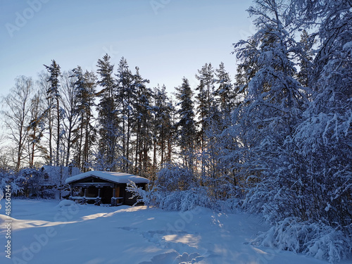 A dark one-story wooden house - a round log bathhouse in the snow among snow-covered trees on a cold clear day. © Elena