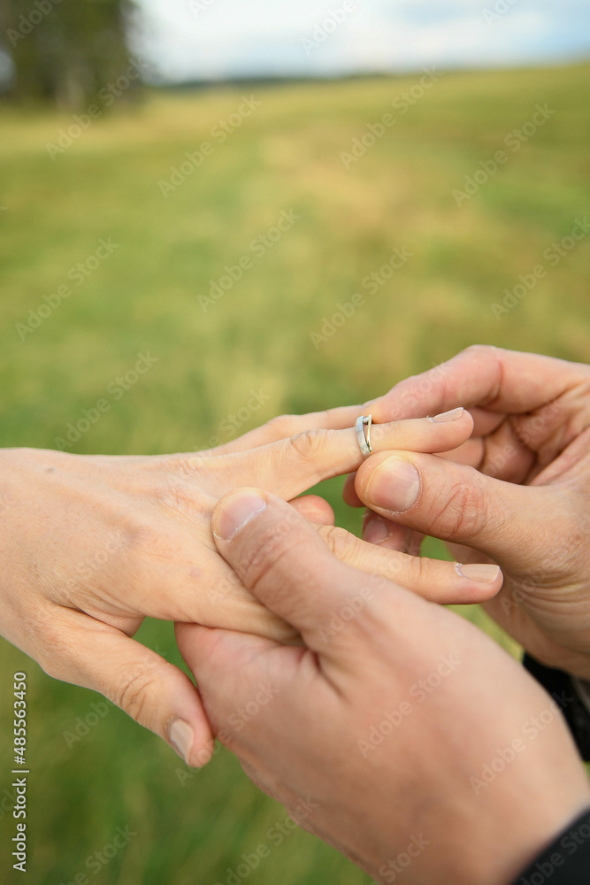 Fiancé qui donne la bague de mariage à la mariée pendant mariage Fiancé qui donne la bague de mariage à la mariée pendant mariage