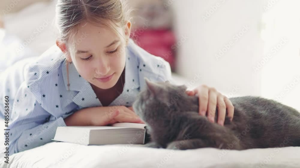 Girl strokes a grey cat while reading a book. Cute white cat lies next to a child reading a book and taking time to a pet. A fluffy grey cat kisses its owner while sitting in her arms. Girl strokes a grey cat while reading a book. Cute white cat lies next to a child reading a book and taking time to a pet. A fluffy grey cat kisses its owner while sitting in her arms.