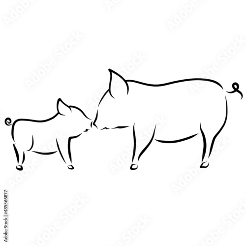 big pig and her baby touch each other with a snout  a black outline