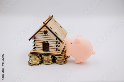 Świnka atakuje dom stojący na monetach