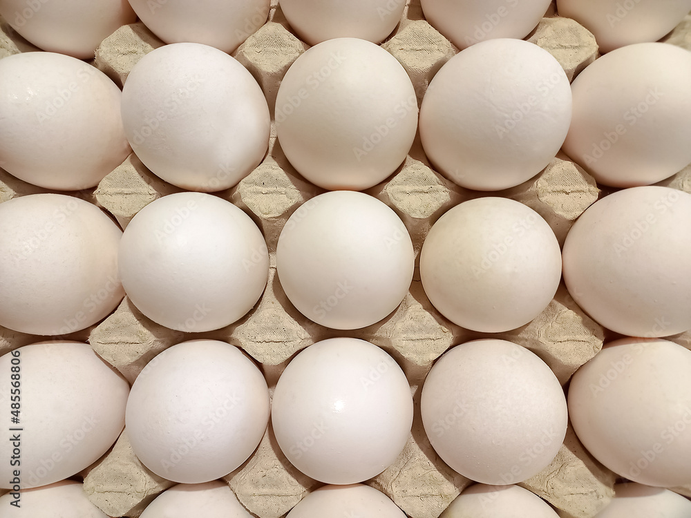 White Egg on the carton, top view stock photo White Egg on the carton, top view stock photo