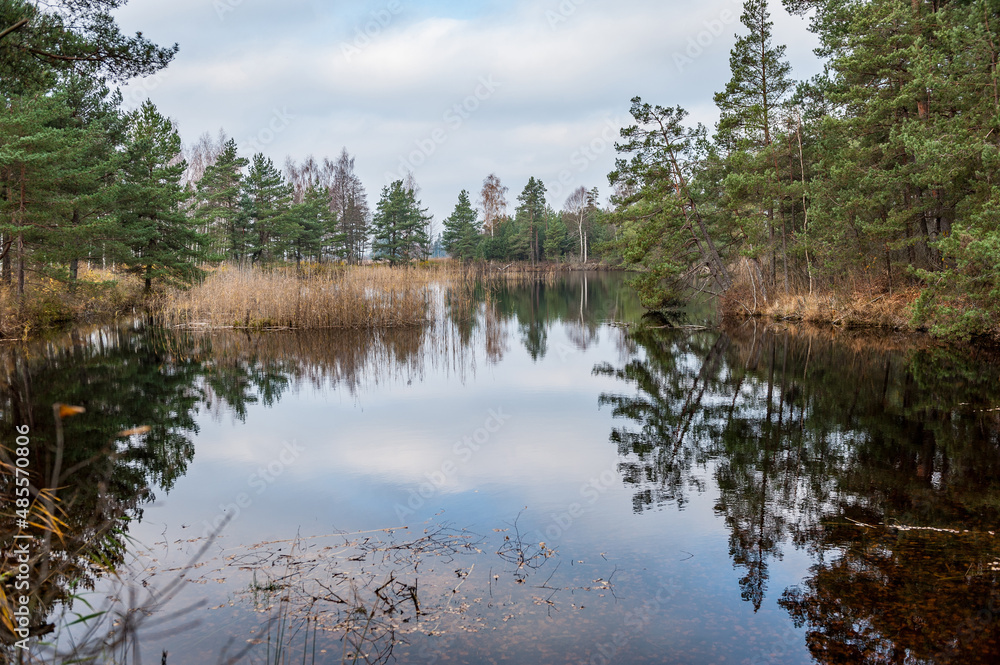 Swamp pond lake in Kemeri national park, Latvia. Serene morning scenery with reflection of cloudy sky on the water surface.