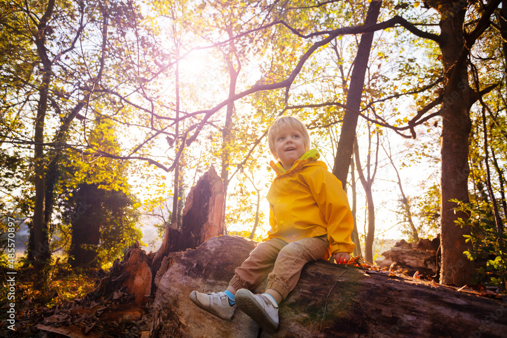 Happy smiling kid in autumn sunset forest