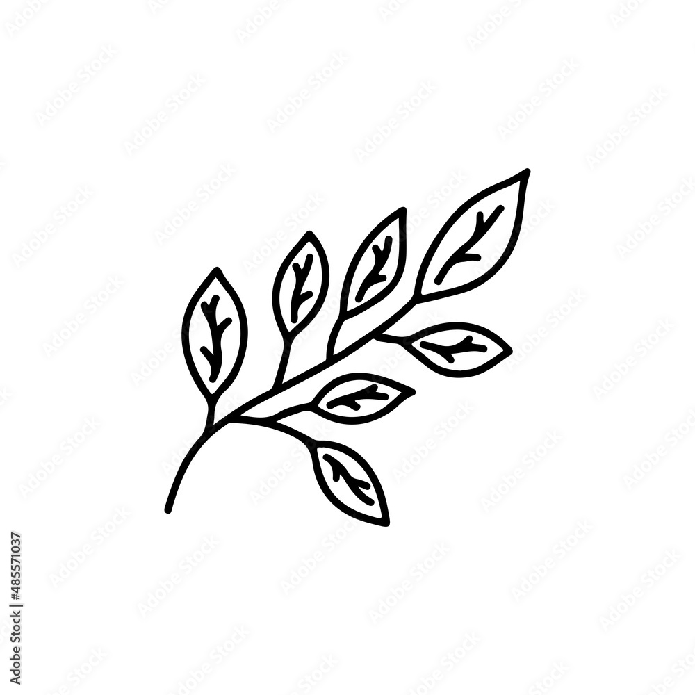 Twig with leaves. Spring or summer element. Ecology concept. Black and white vector isolated illustration hand drawn. Icon doodle