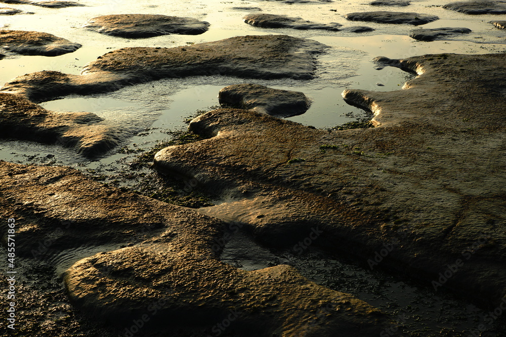 mud flats,silt,sediment,wattboden,schlick,sediment, Stock Photo | Adobe ...