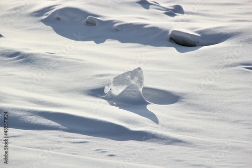 Ice on the Neva River in St. Petersburg