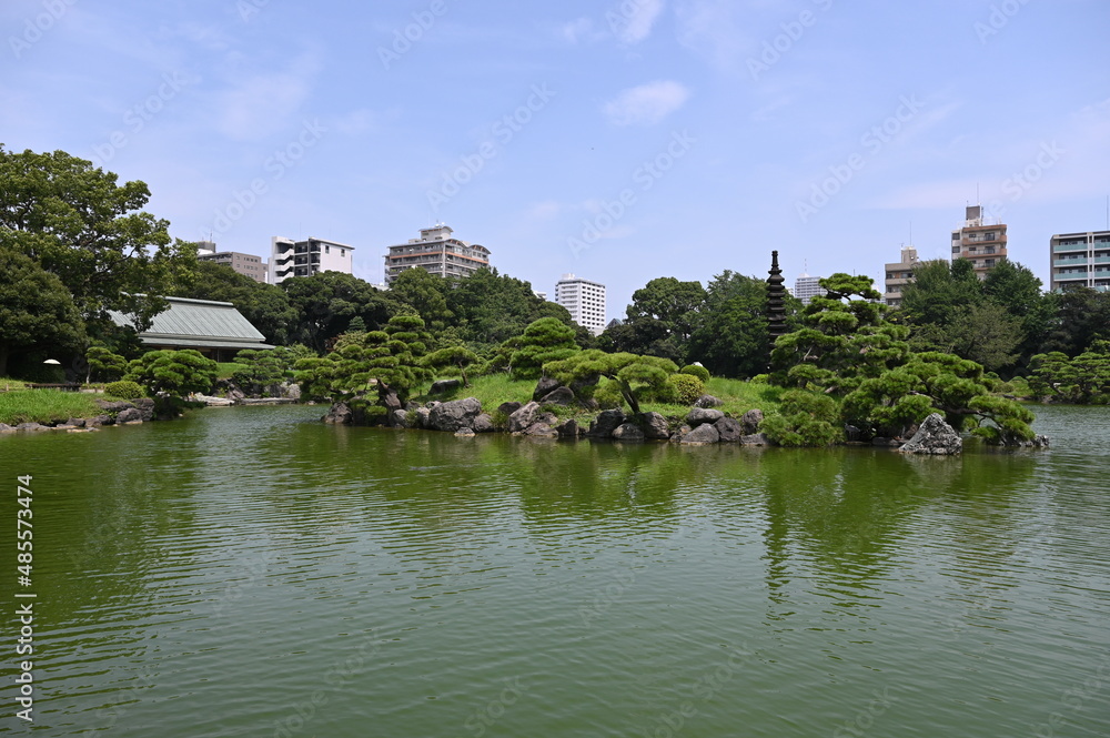 夏の東京の清澄庭園の風景