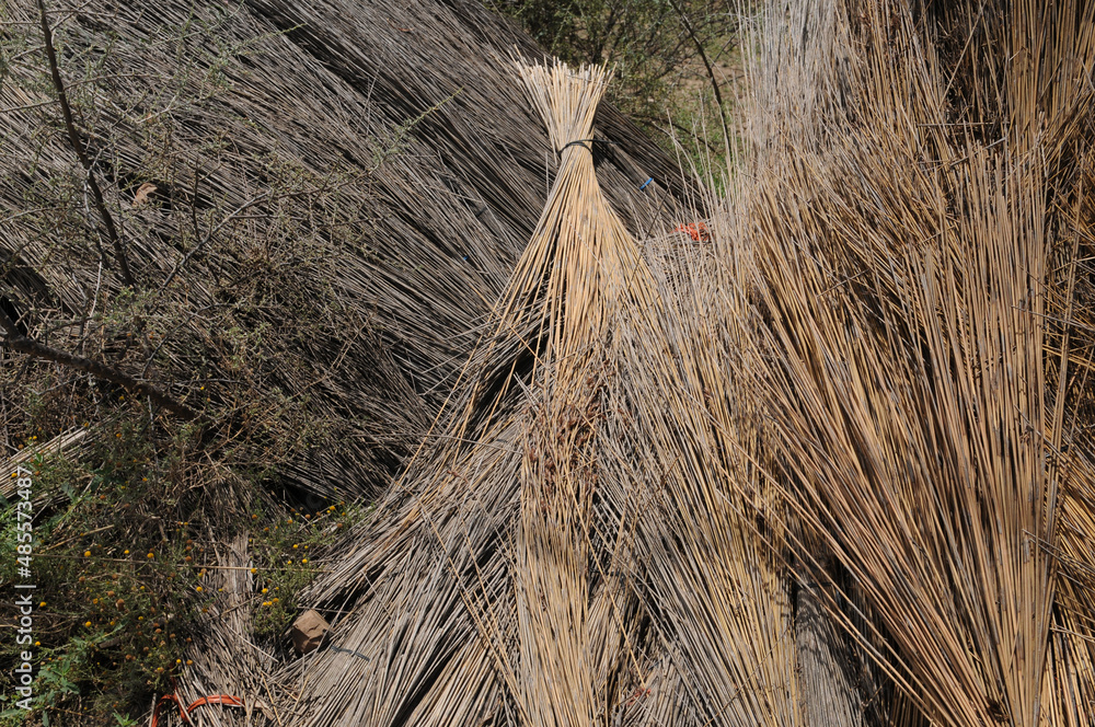 Fototapeta premium thatch