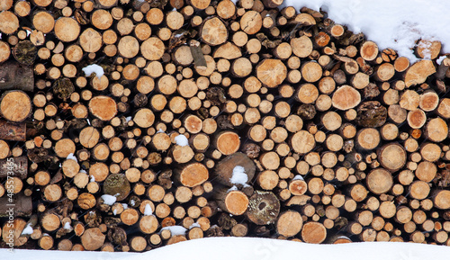 A pile of logs. The round edge of the logs is clearly visible. There is snow in front of and above the pile of firewood. It s snowing.