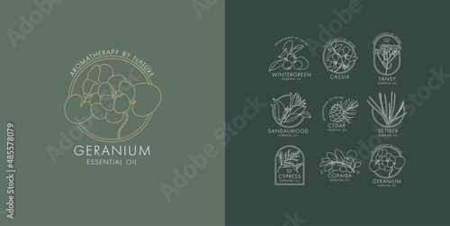 Vector linear set of botanical icons and emblems. Design logos with typography for essential oils. Natural cosmetic products.