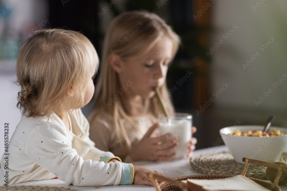 Cute caucasian siblings sitting at table on kitchen early morning and preparing breakfast with colorful cornflakes and milk. Kids enjoying life with healthful food, healthy lifestyle concept Cute caucasian siblings sitting at table on kitchen early morning and preparing breakfast with colorful cornflakes and milk. Kids enjoying life with healthful food, healthy lifestyle concept