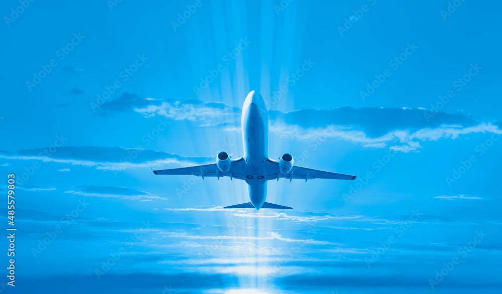 Naklejka premium Airplane flying over tropical sea at sunset