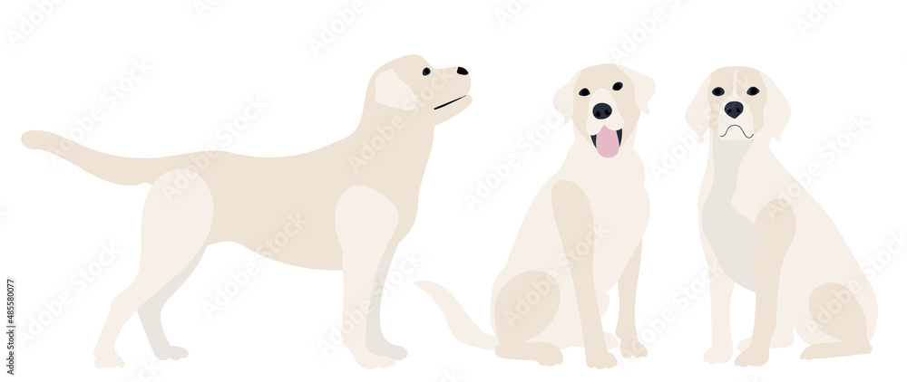 dog flat design on white background, vector