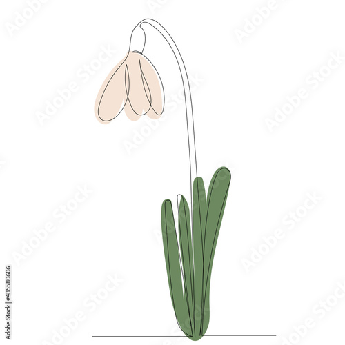 snowdrop outline in one line,vector