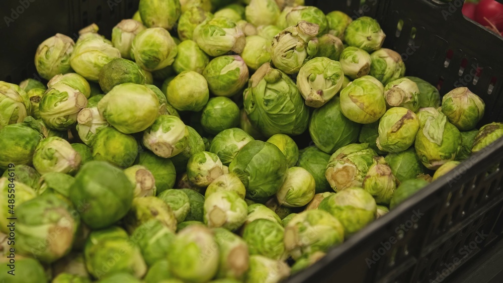 Plastic Crate Box Of Fresh Brussels Sprouts in Grocery Store Vegetables Stand
Plastic Crate Box Of Fresh Brussels Sprouts in Grocery Store Vegetables Stand