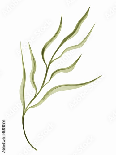 Green leaves design elements for wedding invitations and greeting cards. Watercolor style, isolated on white background