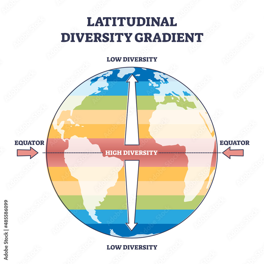 Latitudinal diversity gradient as biodiversity zones on earth outline diagram. Labeled educational scheme and parallel equator lines with various flora and fauna vegetation density vector illustration - obrazy, fototapety, plakaty 