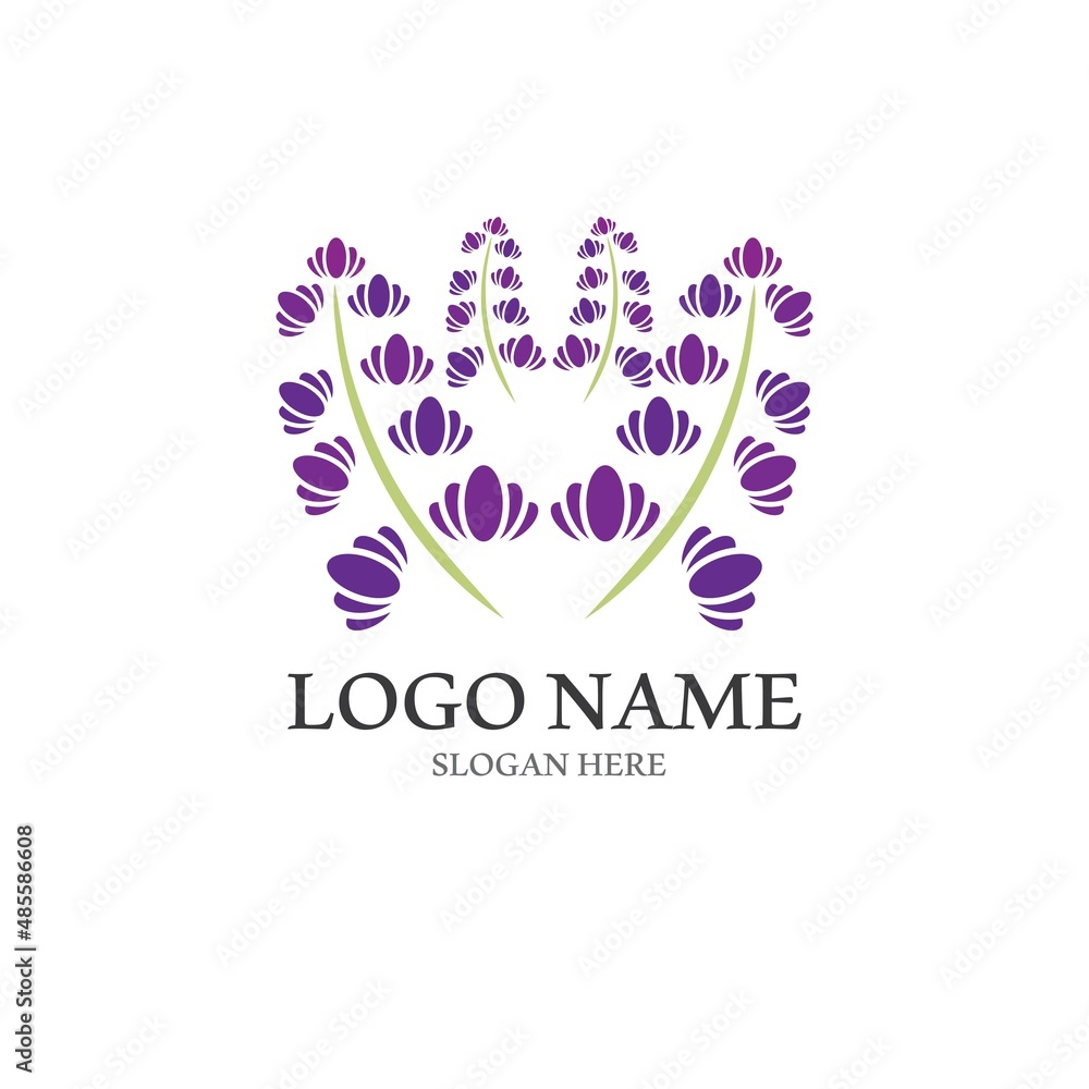 Obraz premium Fresh Lavender flower logo vector