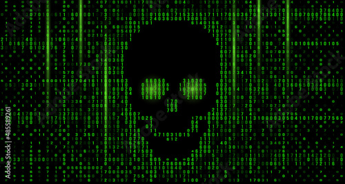 skull in the digital matrix on the BCD stream on the screen. computer matrix numbers.