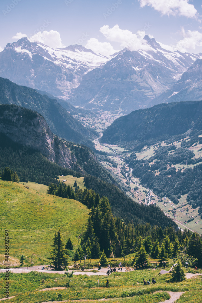 View on mountain peaks like the Monch and Jungfraujoch covered in snow with summer in the valley 