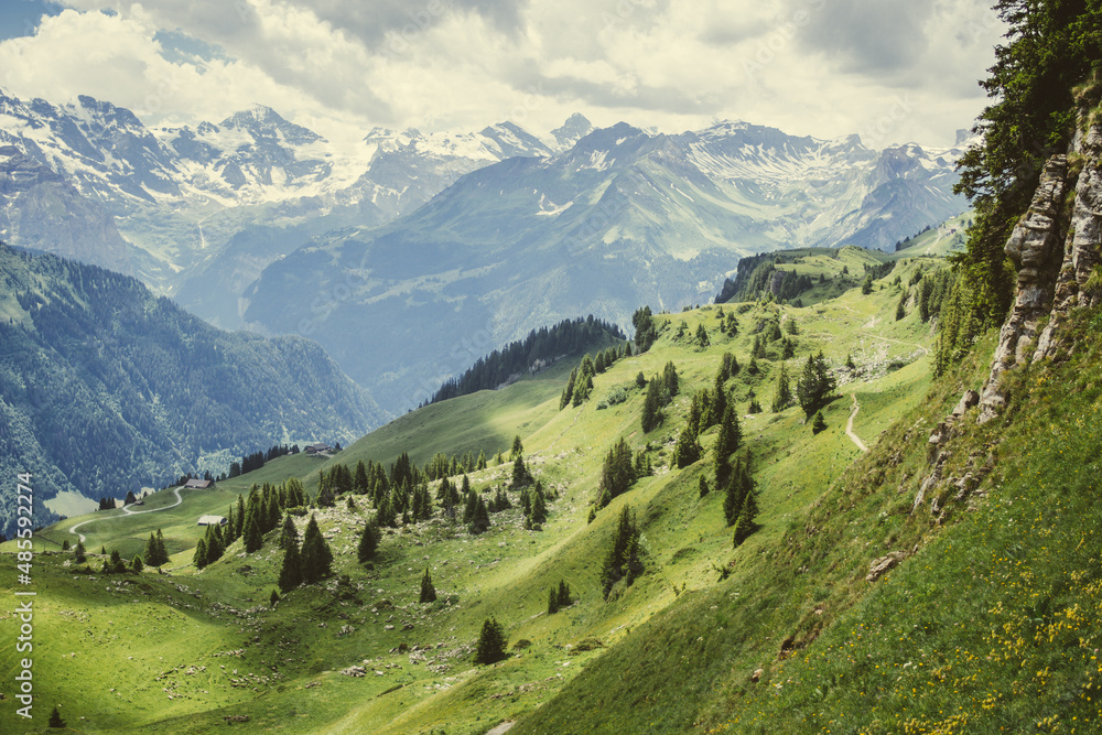 Green hills on the Schynige Platte plateau in the Alps mountains in Switzerland in summer