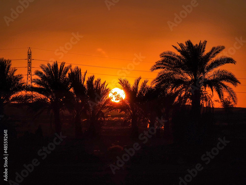 sunset between two palm trees
