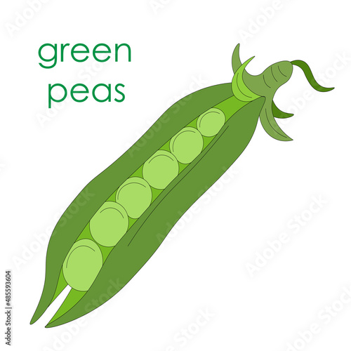Green peas, one open pod of green rest without leaves. Vegetarian food. eco-friendly, organic farm product. rustic micro-greenery. vegetable pod for canned food