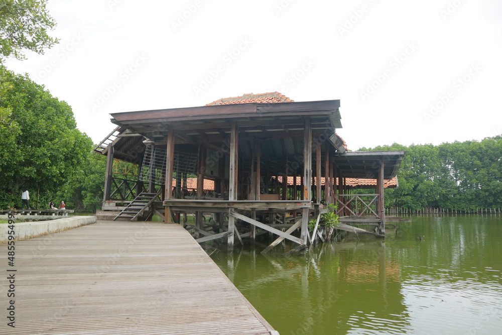 abandoned wooden building on the edge of the swamp