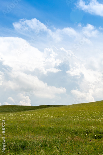 Blue sky with a green meadow. Rural area. Image for nature websites. Selective focus.