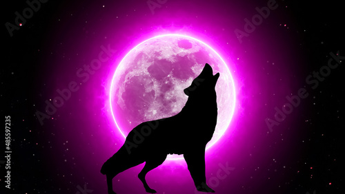 wolf howling in front of moon at night