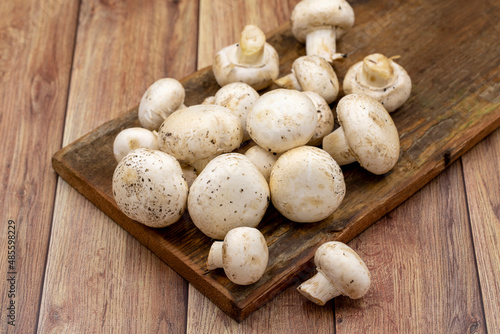 Organic mushrooms on a wooden background. Cultivated mushroom or portabello mushroom