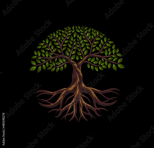 circular tree roots logo in 3d style. ancient tree vector illustrations.