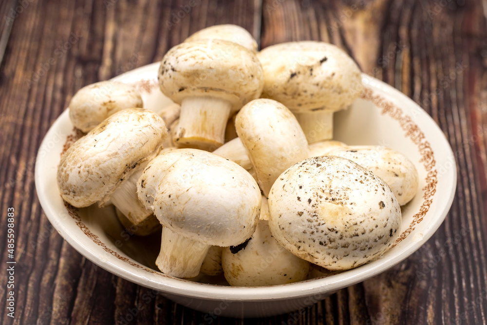 Mushrooms in a ceramic plate on a wooden floor. Cultivated mushroom or portabello mushroom Mushrooms in a ceramic plate on a wooden floor. Cultivated mushroom or portabello mushroom